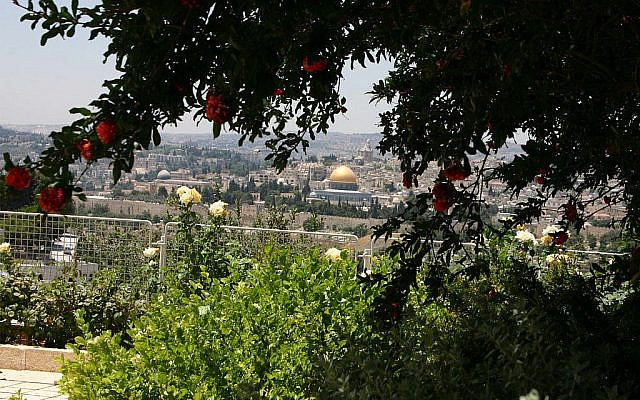 La Vieille Ville de Jérusalem vue depuis le Mont des Oliviers. Montefiore profité de cette vue de la ville pendant son voyage, mais il est resté à distance de la Vieille ville à cause d'une épidémie. (Shmuel Bar-Am)