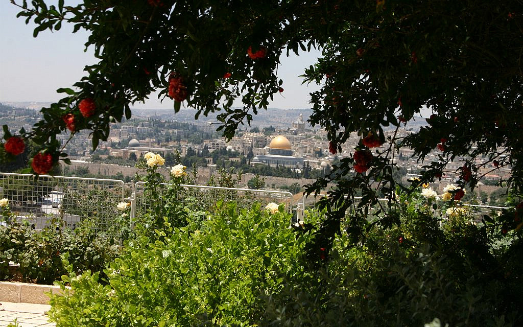La Vieille Ville de Jérusalem vue depuis le Mont des Oliviers. Montefiore profité de cette vue de la ville pendant son voyage, mais il est resté à distance de la Vieille ville à cause d'une épidémie. (Shmuel Bar-Am)