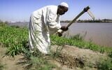 Othman Cheikh Idriss, un fermier soudanais de 60 ans, utilise une faux durant une interview avec l'AFP en Khartoum, le 11 novembre 2019. (Crédit : ASHRAF SHAZLY / AFP)