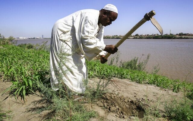 Othman Cheikh Idriss, un fermier soudanais de 60 ans, utilise une faux durant une interview avec l'AFP en Khartoum, le 11 novembre 2019. (Crédit : ASHRAF SHAZLY / AFP) Othman Cheikh Idriss, un fermier soudanais de 60 ans, utilise une faux durant une interview avec l'AFP en Khartoum, le 11 novembre 2019. (Crédit : ASHRAF SHAZLY / AFP)
