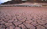 ARCHIVE - Photo du 16 juillet 2014 : ce qui était autrefois une marina se trouve en hauteur et à sec en raison du retrait du lac Mead dans la zone nationale de loisirs du lac Mead en Arizona. On s'attend à des variations extrêmes du temps dans le cadre d'un climat changeant. (Crédit : AP Photo/John Locher, File)