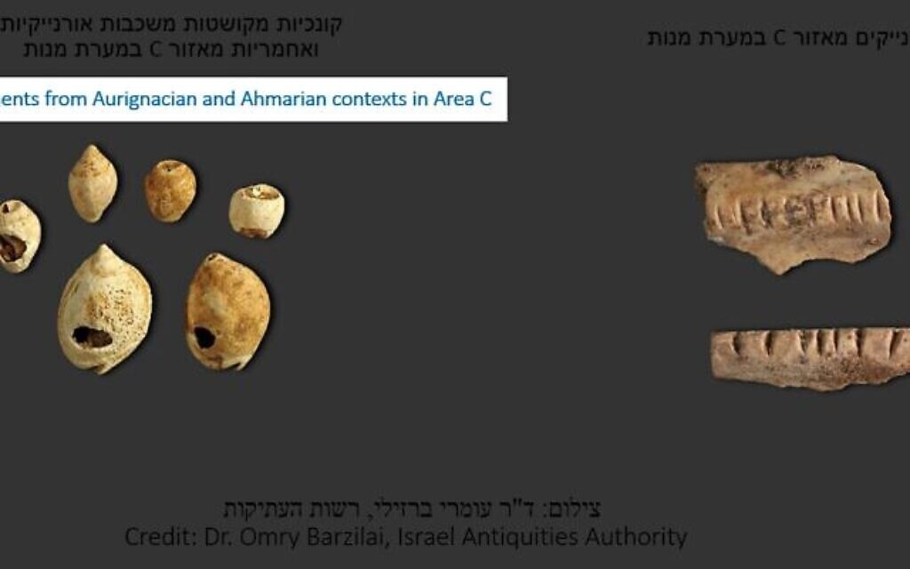 De gauche à droite : Ornements de coquillage issus des période des cultures Aurigacienne et Amarnienne dans la Zone C et pendentifs en ossements auriganiens  de la Zone C (Crédit : Docteur Omry Barzilai, Autorité des antiquités israéliennes)
