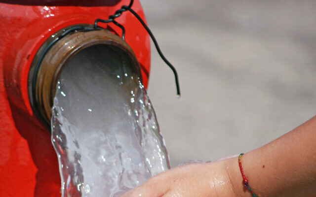 De l'eau s'écoule d'une bouche d'incendie. (Crédit : ChiccoDodiFC iStock by Getty Images)