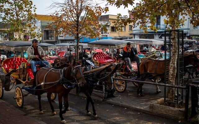 Vue générale d'un lieu où stationnenent des calèches, attendant des passagers, sur l'île de Buyukada, au large d'Istanbul, le 18 novembre 2019 (Crédit : Yasin AKGUL / AFP) Vue générale d'un lieu où stationnenent des calèches, attendant des passagers, sur l'île de Buyukada, au large d'Istanbul, le 18 novembre 2019 (Crédit : Yasin AKGUL / AFP)