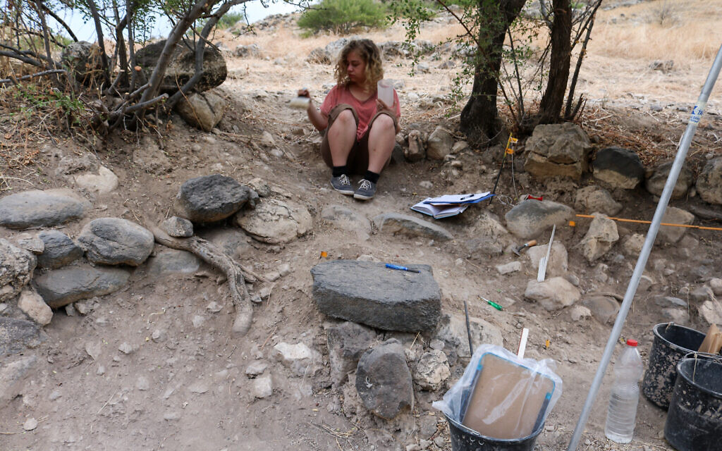 Un membre de l'équipe de fouilles sur le site archéologique d'Ein Gev, en 2018 (Crédit : Laure Dubreuil)