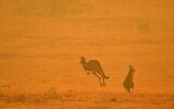 Un kangourou saute dans un champ au milieu de la fumée d'un feu de brousse dans la Snowy Valley, à la périphérie de Cooma, le 4 janvier 2020. (Crédit : SAEED KHAN / AFP)