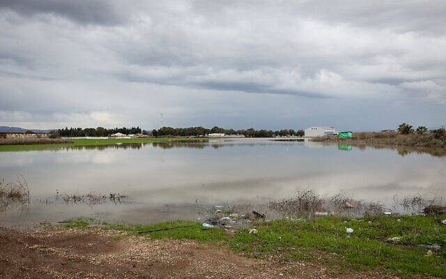 Des terrains inondés par les fortes pluies à Afula, dans le nord d'Israël, le 9 janvier 2020. (Anat Hermony/Flash90)
