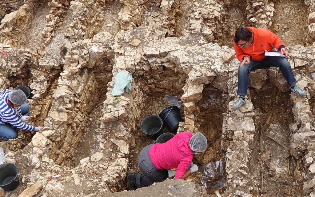 Campagne de fouille 2018 dans le présumé cimetière juif de Châteauroux. Vue des fosses en cours de fouille et disposées dans des rangées organisées. (Crédit : Philippe Blanchard/Inrap)