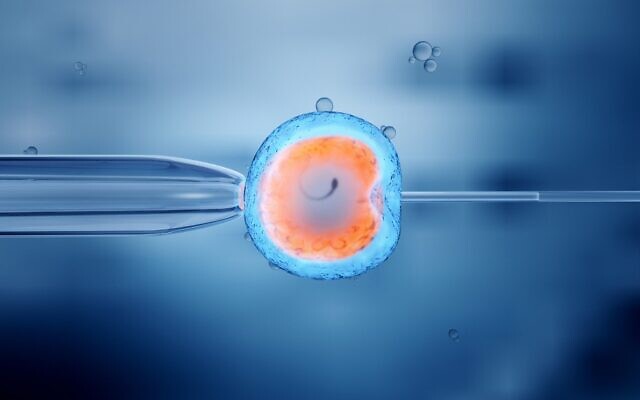 Illustration. Fécondation in vitro (FIV) d'un ovule. (iStock par Getty Images/ man_at_mouse)