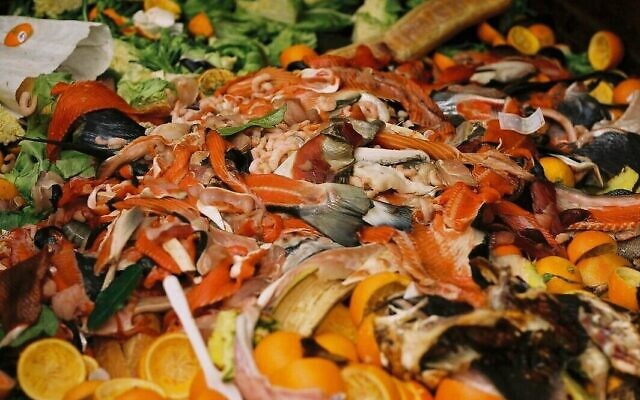 Quelque 4,2 milliards de repas sont jetés à la poubelle chaque année. (Crédit : Leket)