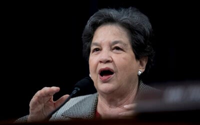 La représentante Lois Frankel, Démocrate de Floride,  s'exprime devant une sous-commission de la Chambre consacrée au budget au Capitole, à Washington, le 27 avril 2019 (Crédit : AP Photo/Andrew Harnik)