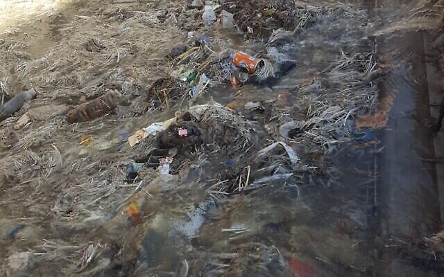 Des plumes, des restes de poulets et d'autres détritus bloquent les écluses de l'usine de traitement des eaux usées de Yad Hanna, dans le centre d'Israël. (Autorisation) Des plumes, des restes de poulets et d'autres détritus bloquent les écluses de l'usine de traitement des eaux usées de Yad Hanna, dans le centre d'Israël. (Autorisation)
