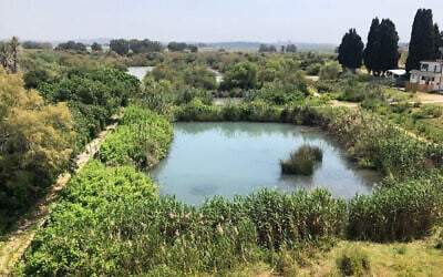 La réserve naturelle d'Ein Afek est fermée aux visiteurs depuis le 18 mars en raison du coronavirus. (Crédit : Sue Surkes/Times of Israel)