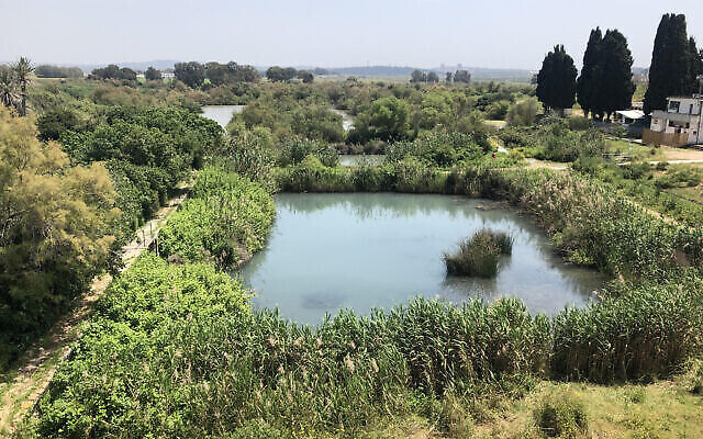 La réserve naturelle d'Ein Afek est fermée aux visiteurs depuis le 18 mars en raison du coronavirus. (Crédit : Sue Surkes/Times of Israel)