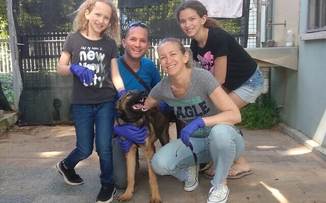 Kion, un chiot de la SCPA (Society for the Prevention of Cruelty to Animals) de Tel Aviv, avec sa nouvelle famille, la famille Ravid de Ramat Gan (Autorisation :  Tel Aviv SPCA)