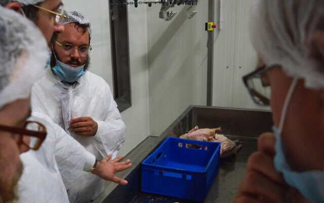Des rabbins examinent la ligne de production de l'abattoir casher Quality Poultry KFT à Csengele, en Hongrie, en février 2017. (Crédit : Zsolt Demecs)