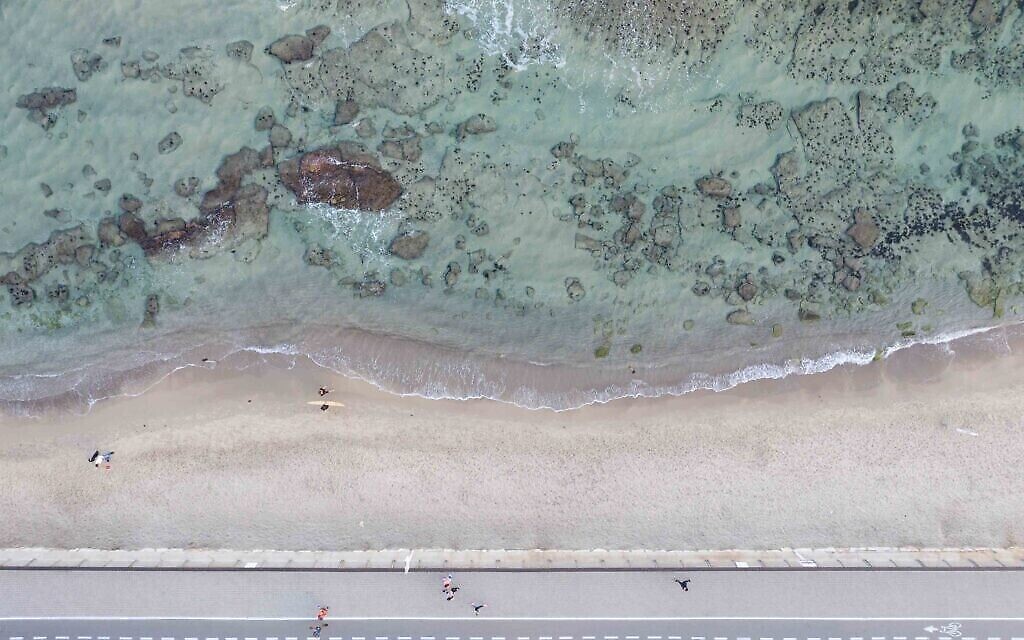 La "plage aux chiens", Tel Aviv, mai 2020. (Crédit : Lord K2)