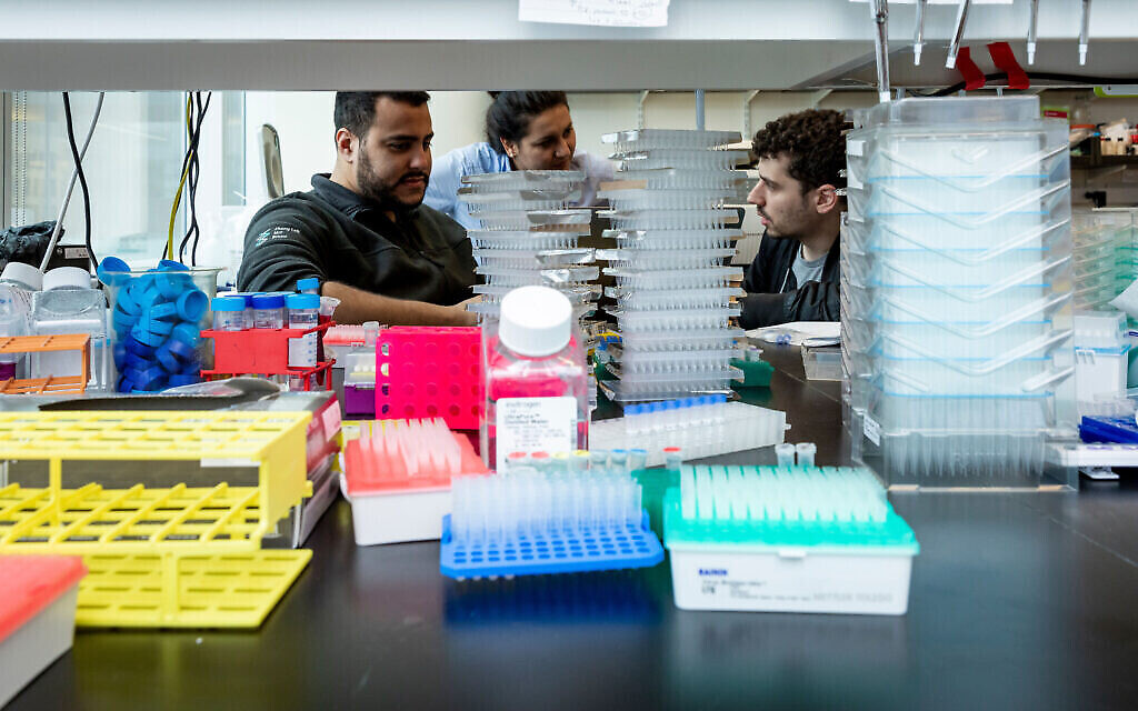 Omar Abudayyeh, à gauche, et Jonathan Gootenberg, à droite, dans leur laboratoire du MIT, le 31 octobre 2019 (Crédit : McGovern Institute for Brain Research at MIT/ Photo by Caitlin Cunningham Photography)