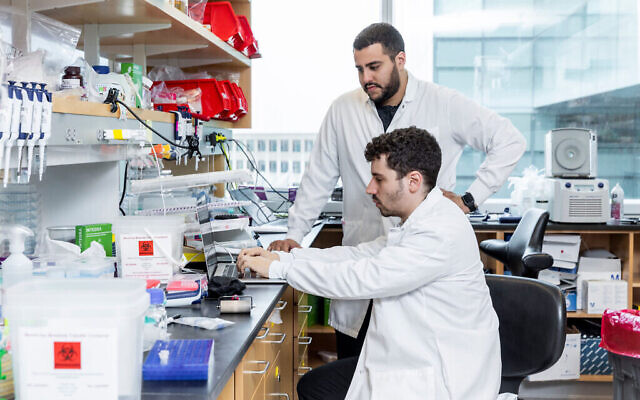 Jonathan Gootenberg, assis, et Omar Abudayyeh, debout, dans leur laboratoire du MIT, le 31 octobre 2019 (Crédit : McGovern Institute for Brain Research at MIT/ Photo by Caitlin Cunningham Photography)