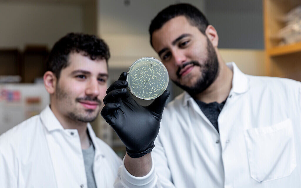 Jonathan Gootenberg, à gauche, et Omar Abudayyeh, à droite, dans leur laboratoire, le 31 octobre 2019 (Crédit : McGovern Institute for Brain Research at MIT/ Photo by Caitlin Cunningham Photography)