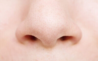 Illustration : un nez. (Crédit  RusN; iStock by Getty Images)