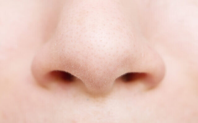 Illustration : un nez. (Crédit  RusN; iStock by Getty Images)