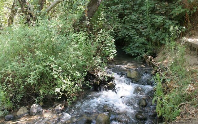La rivière Snir (Crédit : Shmuel Bar-Am)
