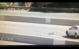 Capture d'écran d'une famille de canards traversant l'autoroute (Capture d'écran)
