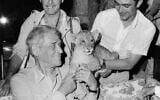 Deux admirateurs offrent un lionceau à Joseph Kessel dans un restaurant de Nice, le 7 juillet 1969. (Crédit : AFP)