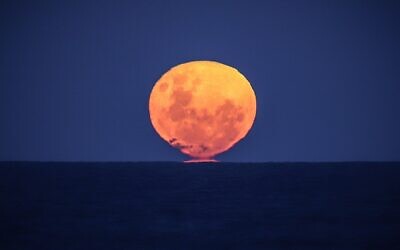 La "pleine lune des fraises" - pleine lune du mois de juin - au-dessus de l'océan, sur la plage de Narrawallee, sur la côté sud de la Nouvelle Galles du sud, le 6 juin 2020 (Crédit : David Gray/AFP)