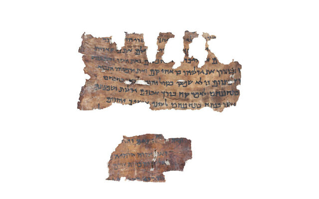Le rouleau de Jérémie de la collection des manuscrits de la mer Morte de l'IAA. (Crédit : Shai Halevi, avec l'aimable autorisation de l'Autorité israélienne des Antiquités)