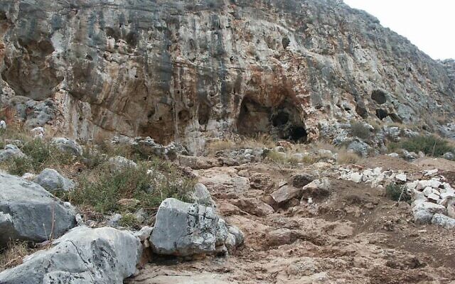La grotte de Misliya en Israël, où l'on a découvert une mâchoire complète avec des dents datant de 177 000 à 194 000 ans. (Mina Weinstein-Evron, Université de Haïfa)