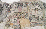 Partie d'une mosaïque de l'époque byzantine mise au jour en 2007 dans le nord d'Israël sur le site de fouilles de Pi Mazuva. (Avec l'aimable autorisation de l'Autorité israélienne des antiquités)