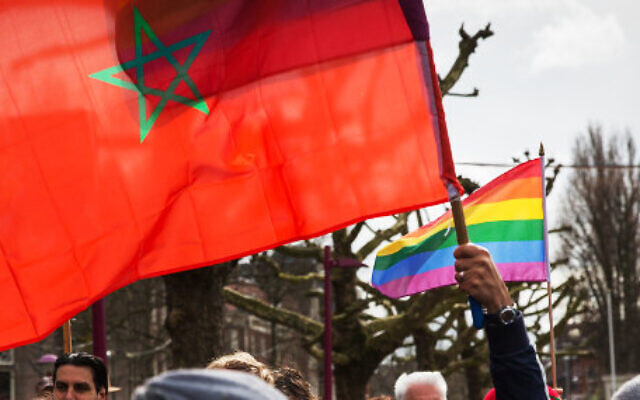 Un drapeau marocain et un drapeau arc-en-ciel pour les droits des homosexuels lors d'une manifestation aux Pays-Bas en 2014. (Crédit : Alex Proimos / Flickr / Creative Commons)