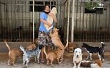 La médecin indonésienne Susana Somali entourée de chiens dans son refuge à Jakarta, le 30 juin 2020. (ADEK BERRY / AFP)