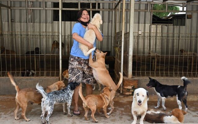 La médecin indonésienne Susana Somali entourée de chiens dans son refuge à Jakarta, le 30 juin 2020. (ADEK BERRY / AFP) La médecin indonésienne Susana Somali entourée de chiens dans son refuge à Jakarta, le 30 juin 2020. (ADEK BERRY / AFP)