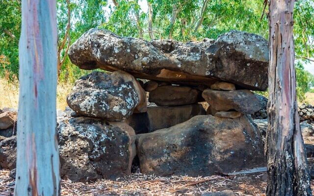 Un dolmen dans la réserve naturelle de Yehudiya. (Yaniv Berman/ Autorité israélienne des Antiquités)