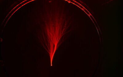 Flux ramifié, tel qu'observé au microscope au Technion - Institut de technologie d'Israël. (Avec l'aimable autorisation du Technion - Institut israélien de technologie)
