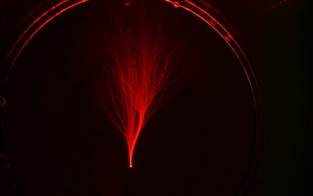 Flux ramifié, tel qu'observé au microscope au Technion - Institut de technologie d'Israël. (Avec l'aimable autorisation du Technion - Institut israélien de technologie) Flux ramifié, tel qu'observé au microscope au Technion - Institut de technologie d'Israël. (Avec l'aimable autorisation du Technion - Institut israélien de technologie)