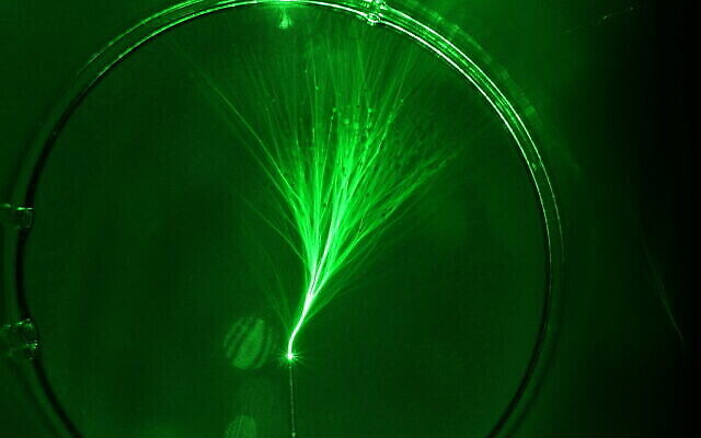 Flux ramifié, tel qu'observé au microscope au Technion - Institut de technologie d'Israël. (Avec l'aimable autorisation du Technion - Institut israélien de technologie) Flux ramifié, tel qu'observé au microscope au Technion - Institut de technologie d'Israël. (Avec l'aimable autorisation du Technion - Institut israélien de technologie)