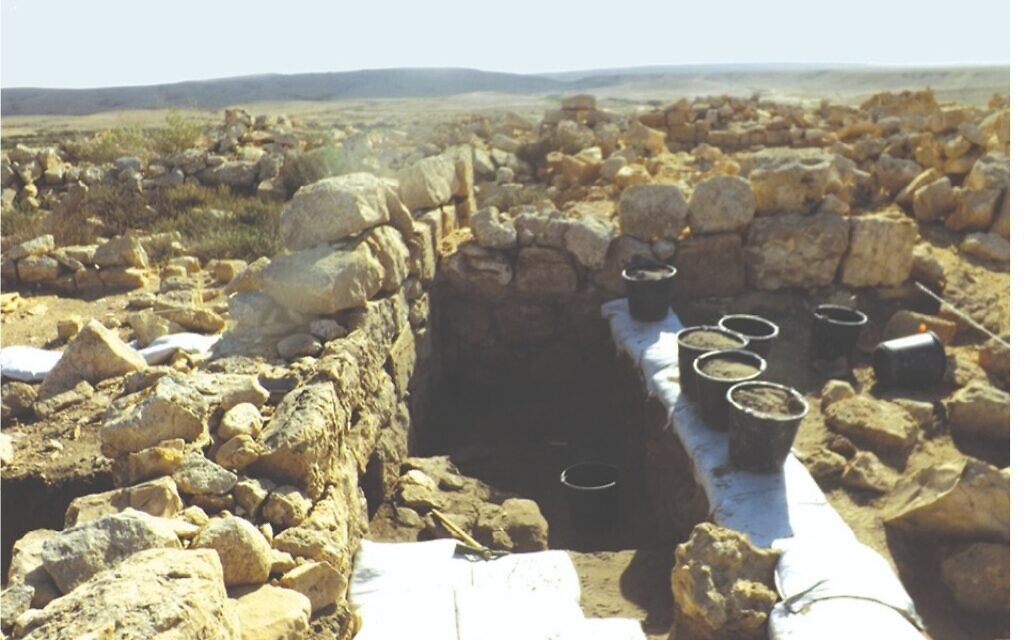 Monticules d'ordures à la périphérie de Tel Nitsana, ville du Néguev de l'époque byzantine. (Guy Bar-Oz/Université de Haïfa)