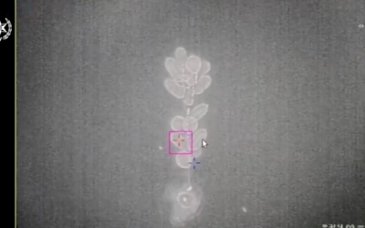 Capture d'écran d'une vidéo montrant le système de la "Lame de lumière" en train d'abattre des ballons incendiaires lancés depuis Gaza. (Police des frontières)