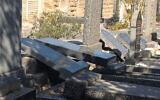 Le cimetière juif d'Oudtshoorn en Afrique du Sud, vandalisé, août 2020. (Cape SAJB via JTA)