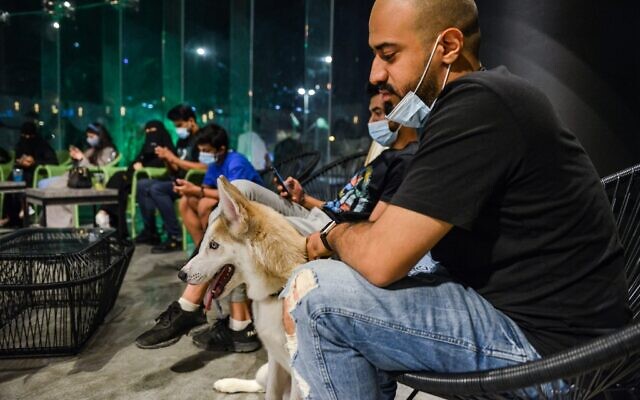 Des clients masqués avec leurs chiens au café "Barking Lot" dans la ville de Khobar, dans l'est du golfe saoudien, à 450 kilomètres à l'est de la capitale, le 25 septembre 2020. (FAYEZ NURELDINE / AFP) Des clients masqués avec leurs chiens au café "Barking Lot" dans la ville de Khobar, dans l'est du golfe saoudien, à 450 kilomètres à l'est de la capitale, le 25 septembre 2020. (FAYEZ NURELDINE / AFP)
