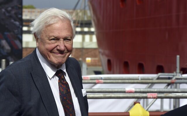 Sir David Attenborough lors de la cérémonie de baptême du RRS Sir David Attenborough au chantier naval de Camel Laird, Birkenhead, Angleterre, le 26 septembre 2019. (Asadour Guzelian/Pool Photo via AP) Sir David Attenborough lors de la cérémonie de baptême du RRS Sir David Attenborough au chantier naval de Camel Laird, Birkenhead, Angleterre, le 26 septembre 2019. (Asadour Guzelian/Pool Photo via AP)