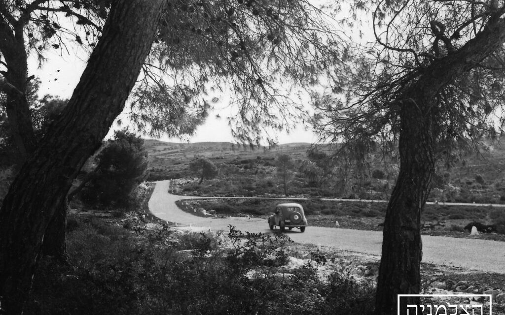 (Autorisation : The Photo House)