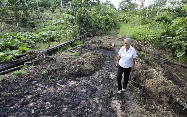 Sur cette photo du 30 juillet 2006, Mariana Jimenez se promène dans sa ferme où des tuyaux de pétrole ont éclaté et contaminé sa terre au début du mois, près de Lago Agrio, dans la région amazonienne de l'Équateur. Mardi 10 juillet 2018, la plus haute cour d'Equateur a confirmé un jugement de 9,5 milliards de dollars contre le géant pétrolier Chevron pour des décennies de dommages causés à la forêt tropicale qui ont porté préjudice aux populations indigènes. (AP Photo/Lou Dematteis, Dossier) Sur cette photo du 30 juillet 2006, Mariana Jimenez se promène dans sa ferme où des tuyaux de pétrole ont éclaté et contaminé sa terre au début du mois, près de Lago Agrio, dans la région amazonienne de l'Équateur. Mardi 10 juillet 2018, la plus haute cour d'Equateur a confirmé un jugement de 9,5 milliards de dollars contre le géant pétrolier Chevron pour des décennies de dommages causés à la forêt tropicale qui ont porté préjudice aux populations indigènes. (AP Photo/Lou Dematteis, Dossier)