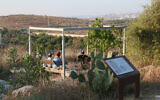 Un point d'observation à côté d'un mikveh dans le jardin archéologique de Givat Titora. (Shmuel Bar-Am)