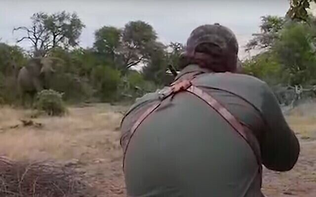 Le chasseur américain Aaron Raby tire sur un éléphant pour le sport. (Capture d'écran, People for the Ethical Treatment of Animals)