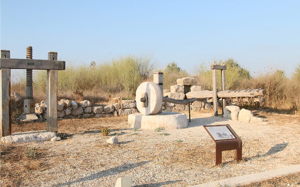 D'anciens pressoirs à olive dans le jardin archéologique de Givat Titora. (Shmuel Bar-Am)